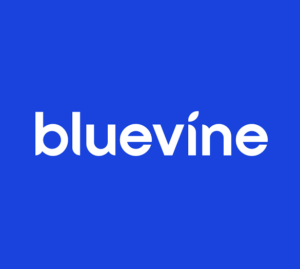 Bluevine loan