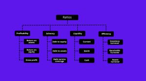 Balance sheet ratios categories